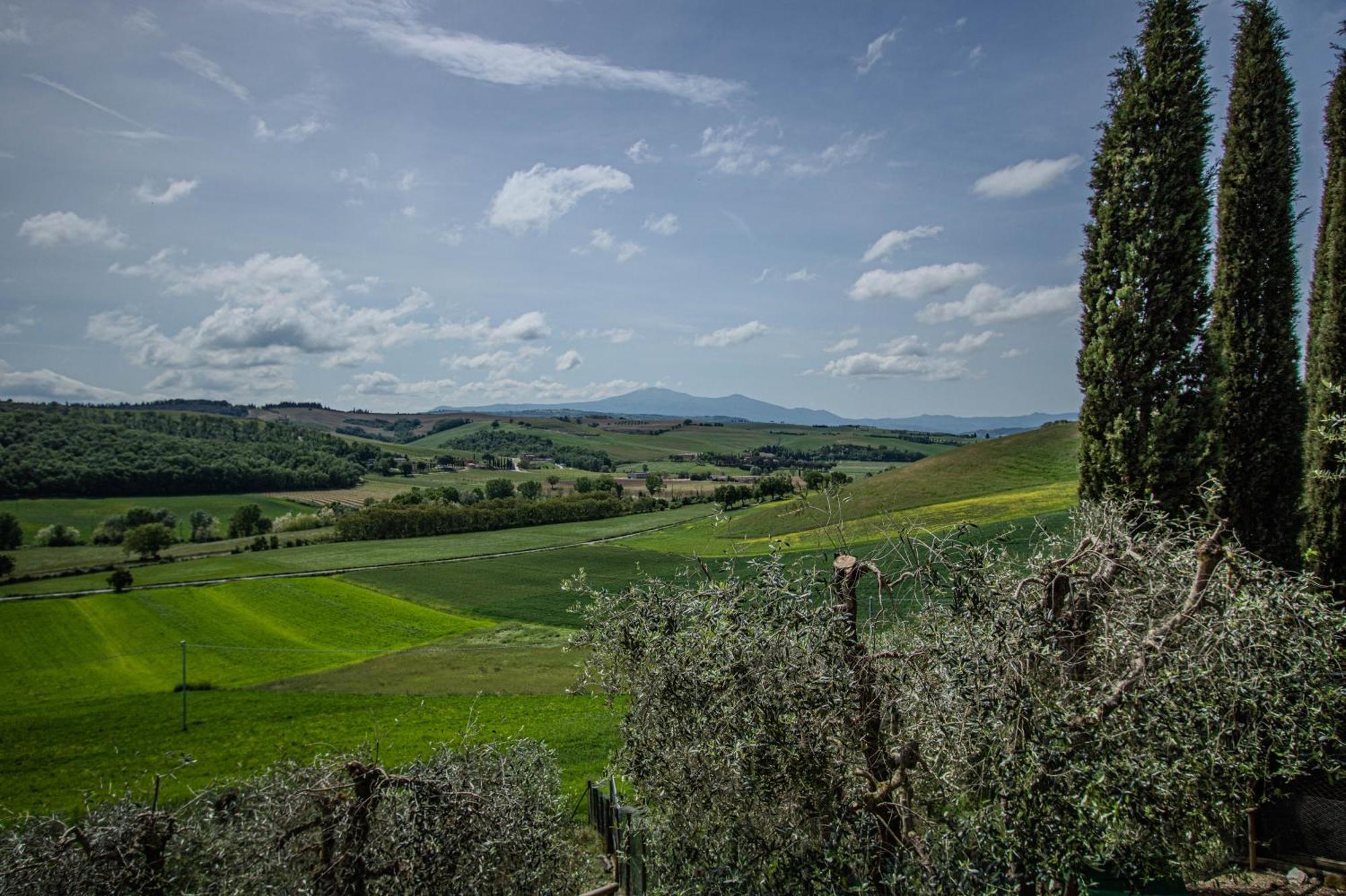 Agriturismo Biofattoria L'Upupa Montalcino Exterior foto