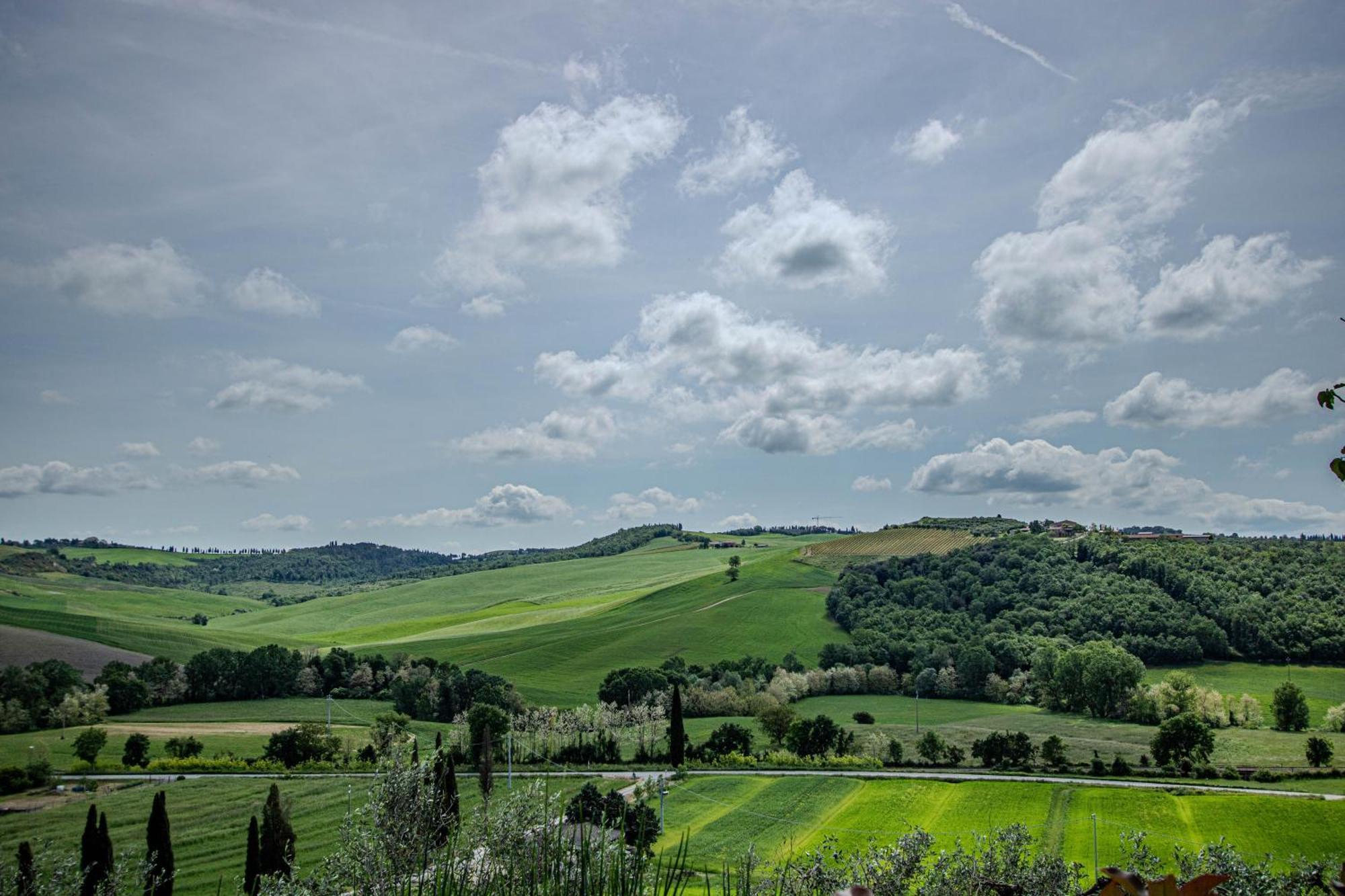 Agriturismo Biofattoria L'Upupa Montalcino Exterior foto