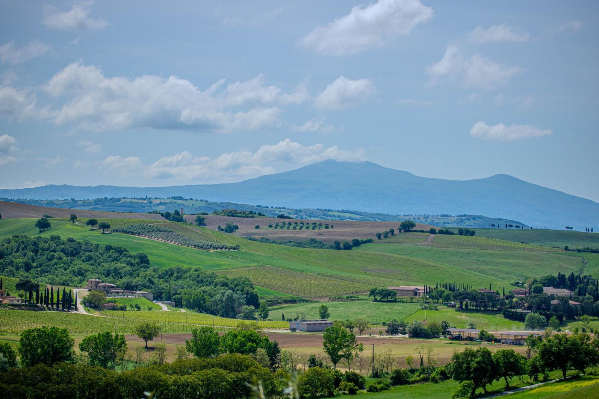 Agriturismo Biofattoria L'Upupa Montalcino Exterior foto