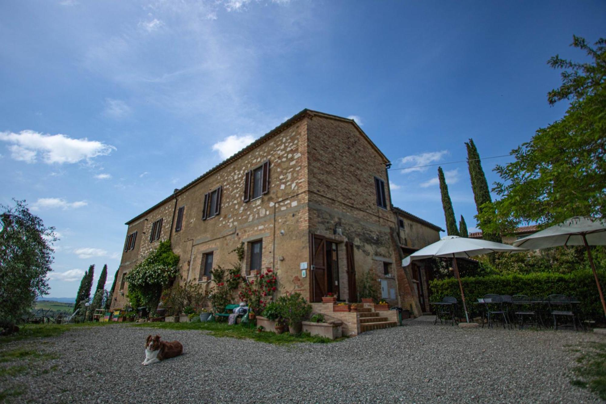 Agriturismo Biofattoria L'Upupa Montalcino Exterior foto